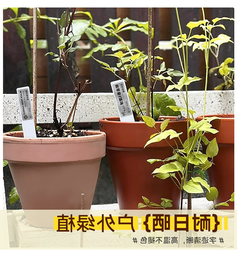 标签打印机,热敏打印机,无墨打印机,口袋打印机,印先森