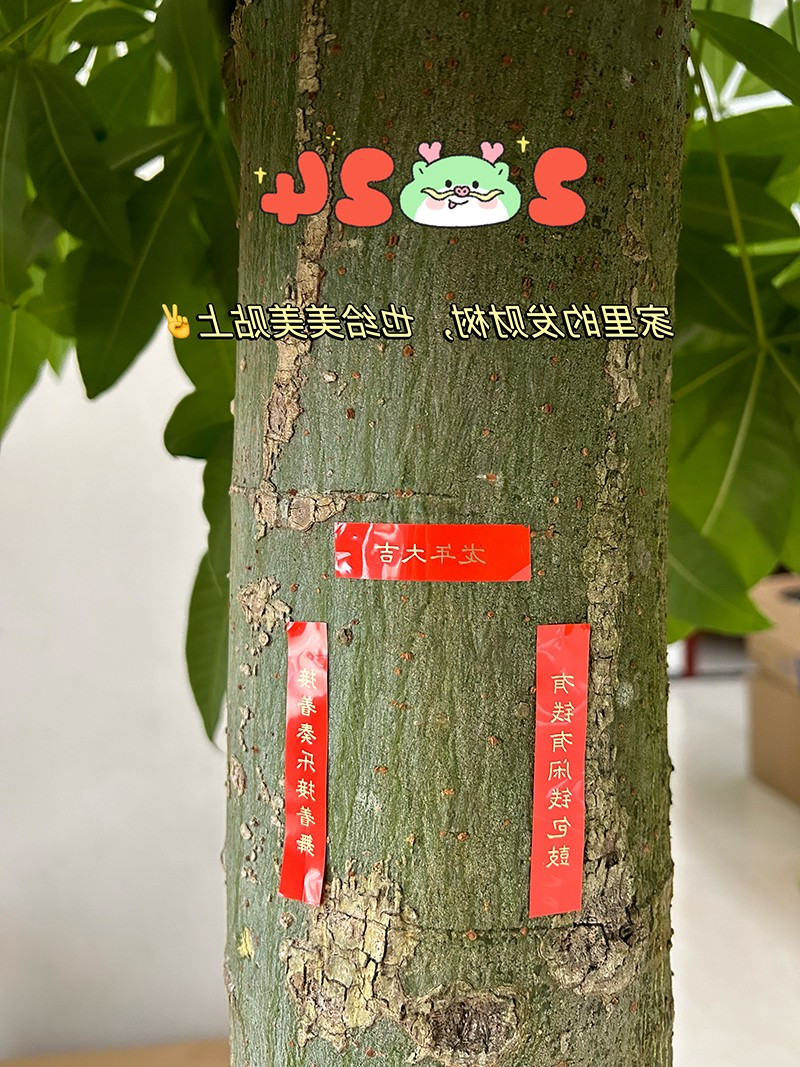 标签打印机,热敏打印机,无墨打印机,口袋打印机,印先森 标签打印机,热敏打印机,无墨打印机,口袋打印机,印先森