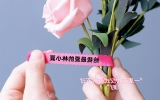 浪漫情人节，教你get甜蜜表白送礼新姿势